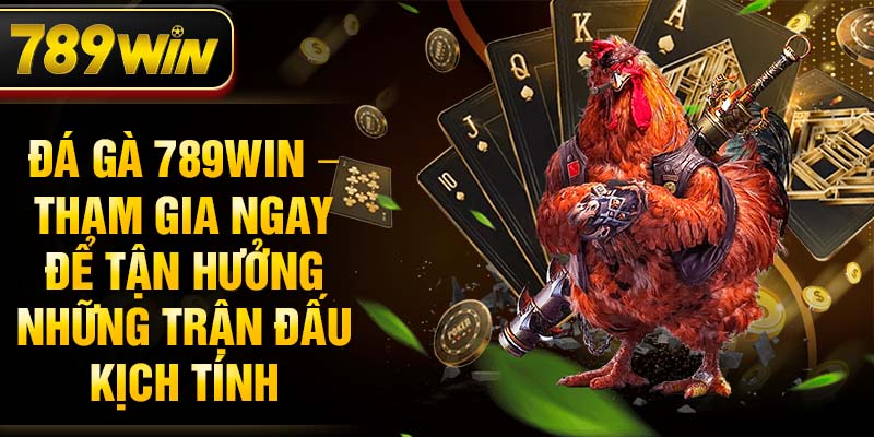 Đá Gà 789WIN – Tham gia ngay để tận hưởng những trận đấu kịch tính