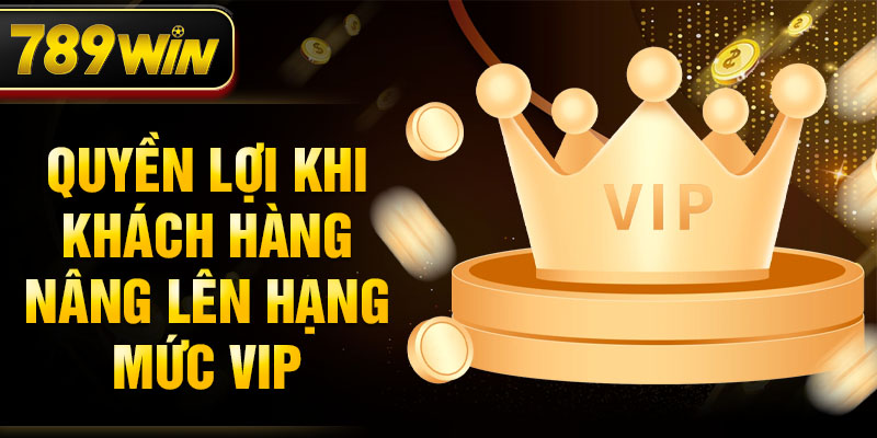 Quyền lợi khi khách hàng nâng lên hạng mức VIP