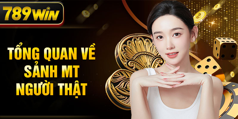 Tổng quan về sảnh MT người thật