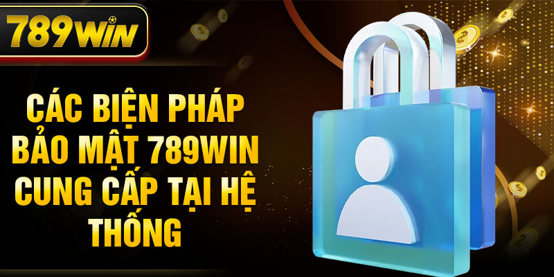 Các biện pháp bảo mật 789WIN cung cấp tại hệ thống