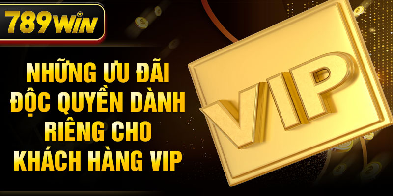 Những ưu đãi độc quyền dành riêng cho khách hàng VIP