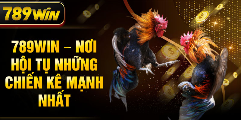 789WIN – Nơi hội tụ những chiến kê mạnh nhất 