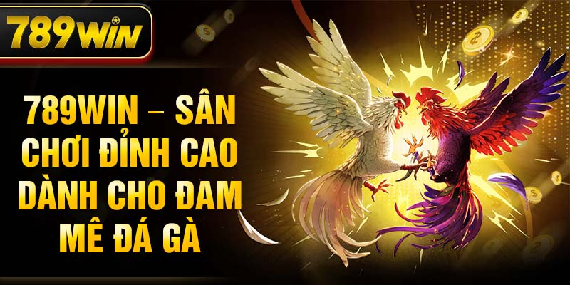 789WIN – Sân chơi đỉnh cao dành cho đam mê đá gà