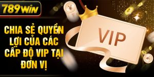 Chia sẻ quyền lợi của các cấp độ VIP tại đơn vị